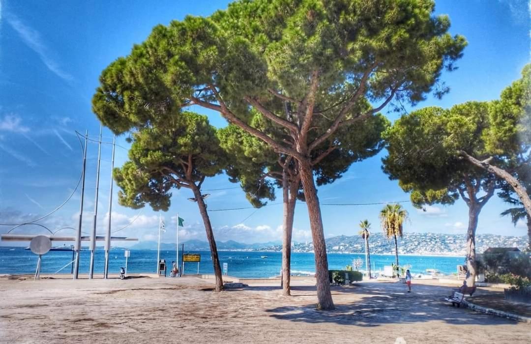 Splendide 3 Pieces Vue Mer Antibes Dış mekan fotoğraf