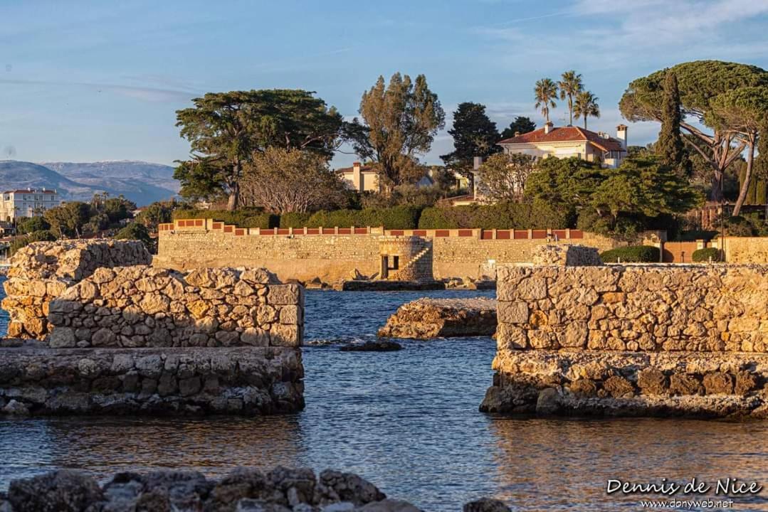 Splendide 3 Pieces Vue Mer Antibes Dış mekan fotoğraf